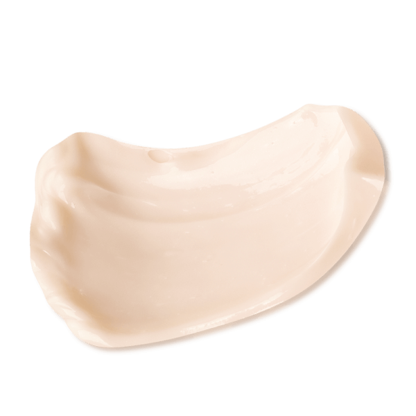 Global Repair Crema